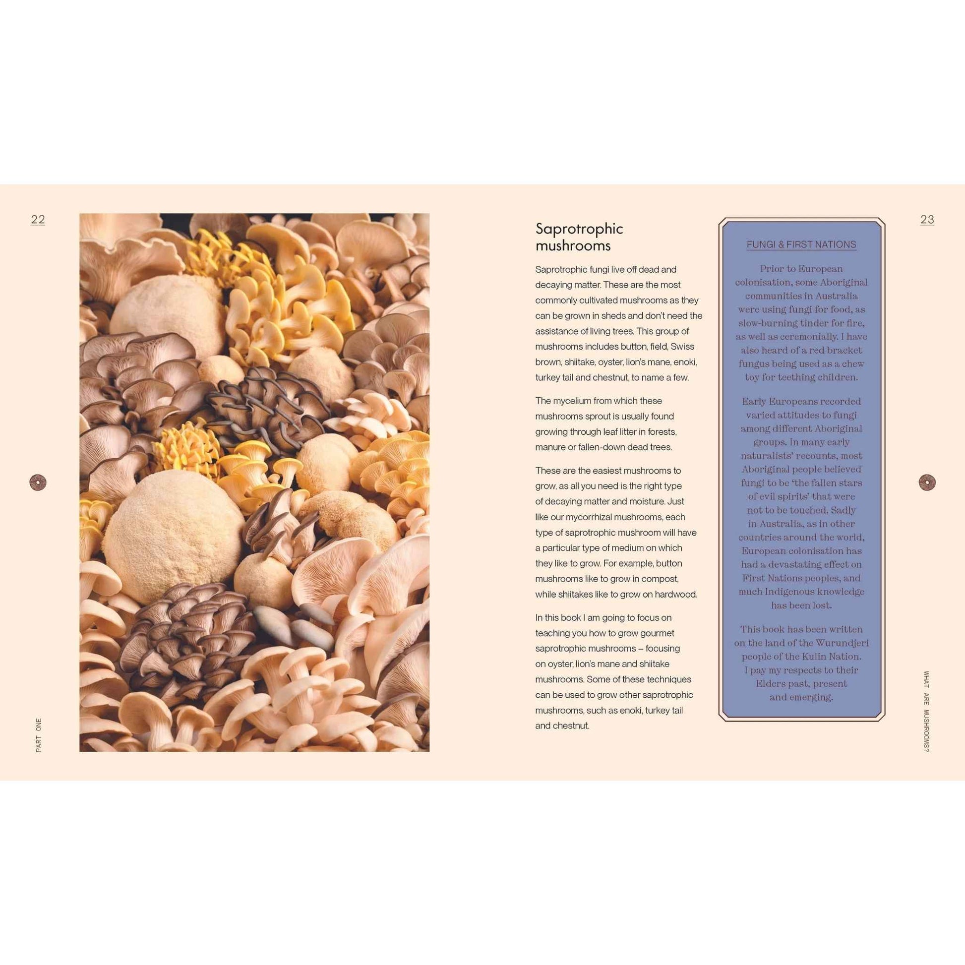 The Mushroomery Book - Saprotrophic Mushrooms