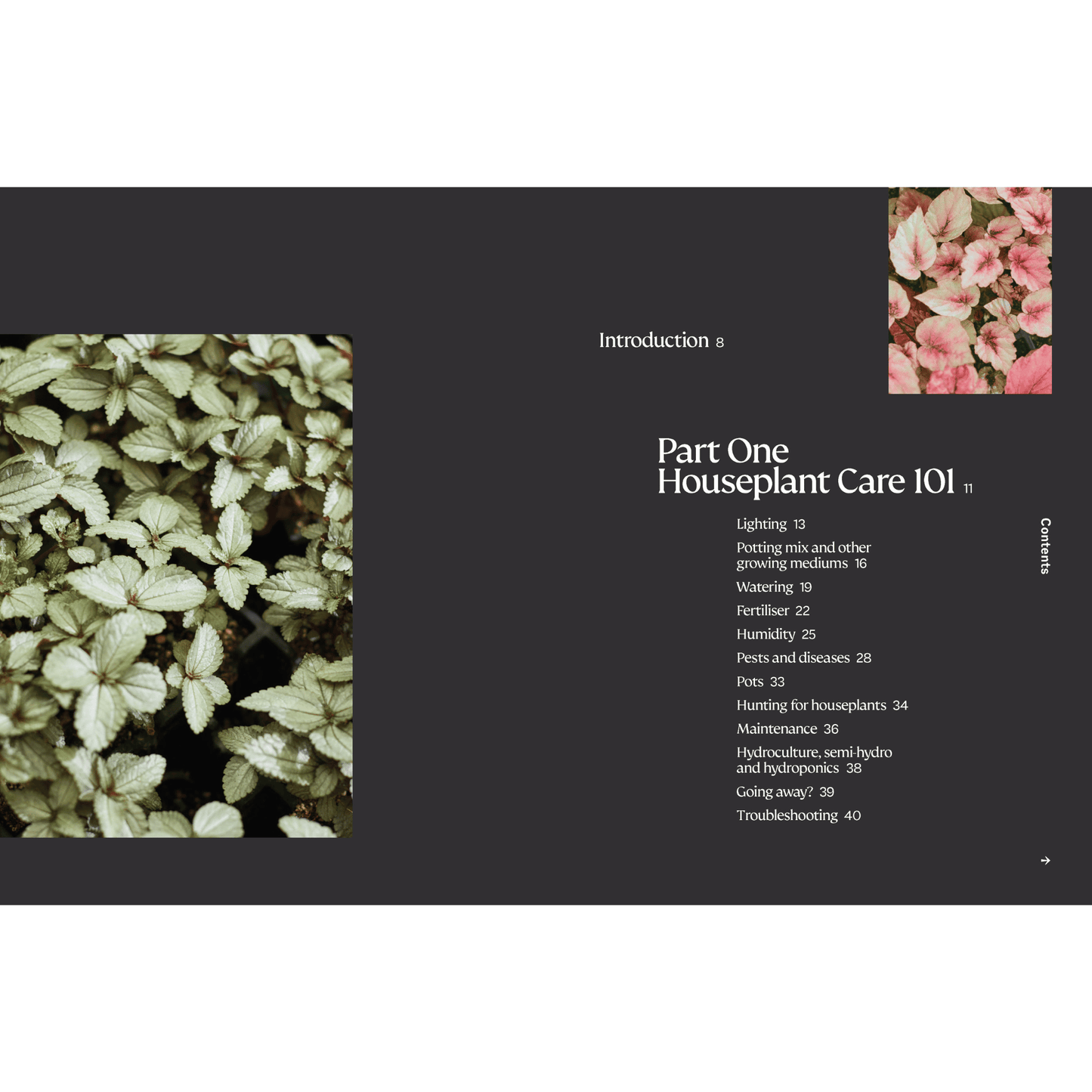 house plant care book The Plant Book by Tammy Huynh – Backyard Botanist