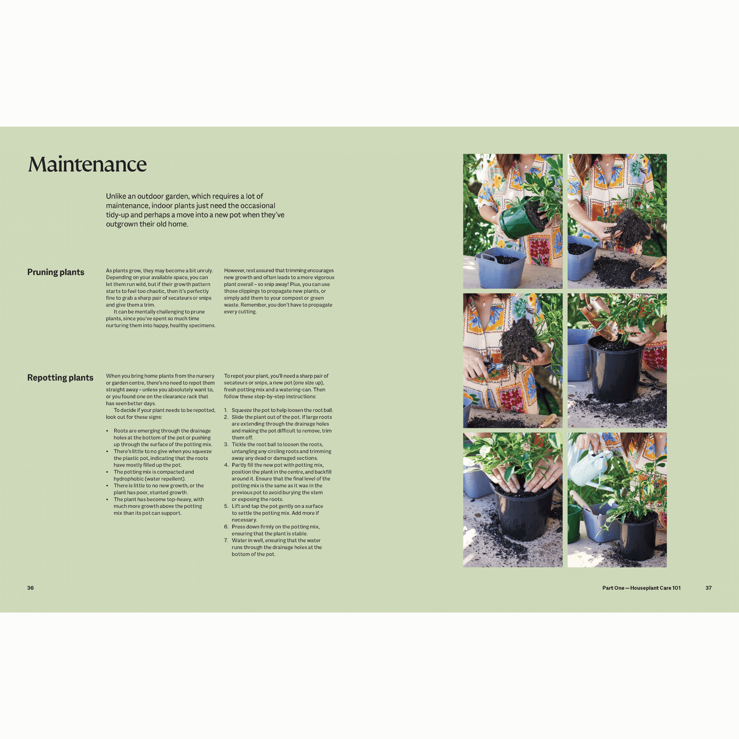 The Plant Book - Maintenance