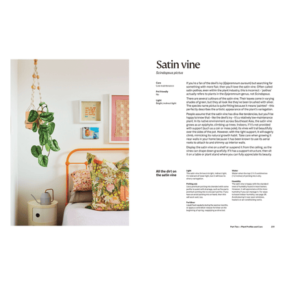 The Plant Book - Satin Vine