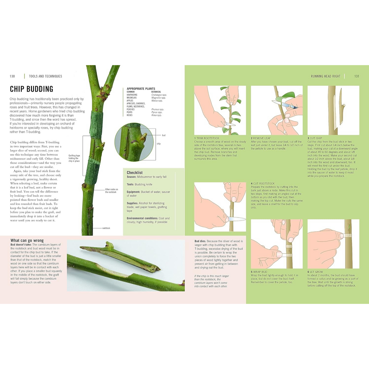 The Plant Propagator's Bible - Chip Budding