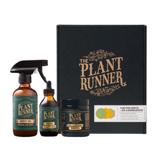 The Plant Runner Plant Care Booster Kit, Gift Boxed