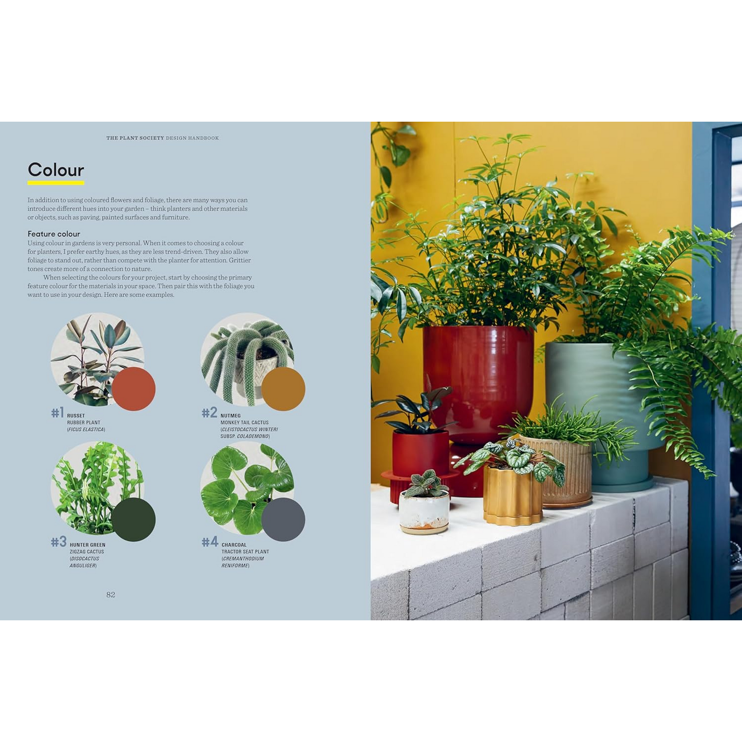 The Plant Society Design Handbook, Colour