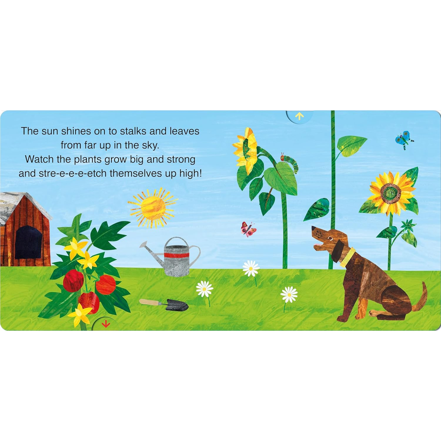 The Very Hungry Caterpillar's Garden Sun