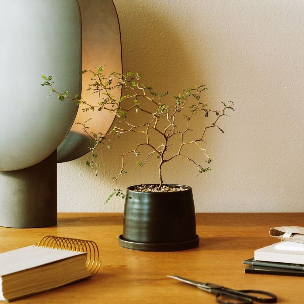 japanese style plant pots Vintage Plant Pot 192, Black