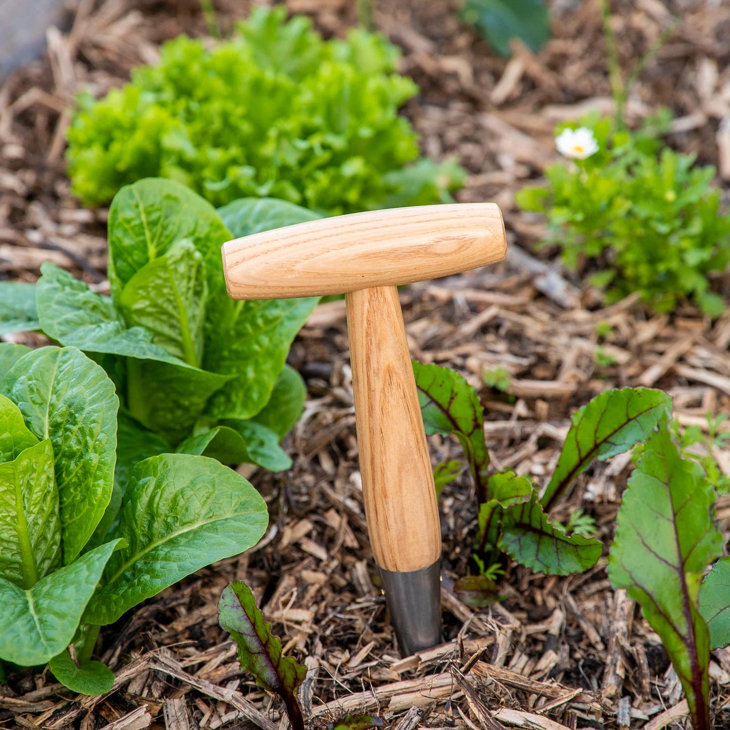 Traditional Stainless Steel Garden Dibber