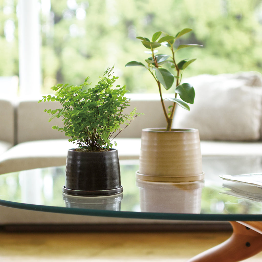 japanese plant pots Vintage Plant Pot 192, Black