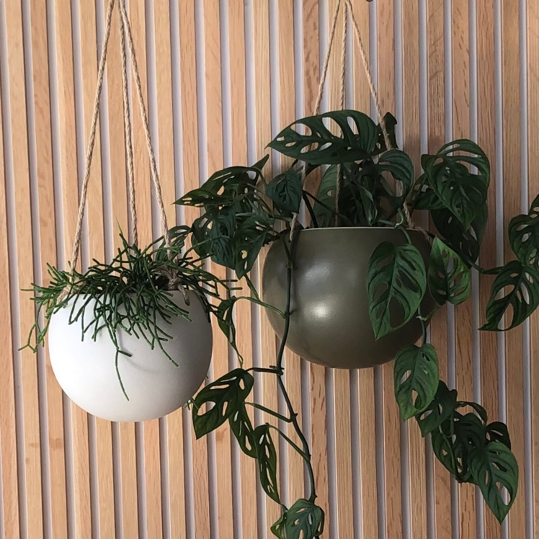 Potted Orbit Hanging Planters