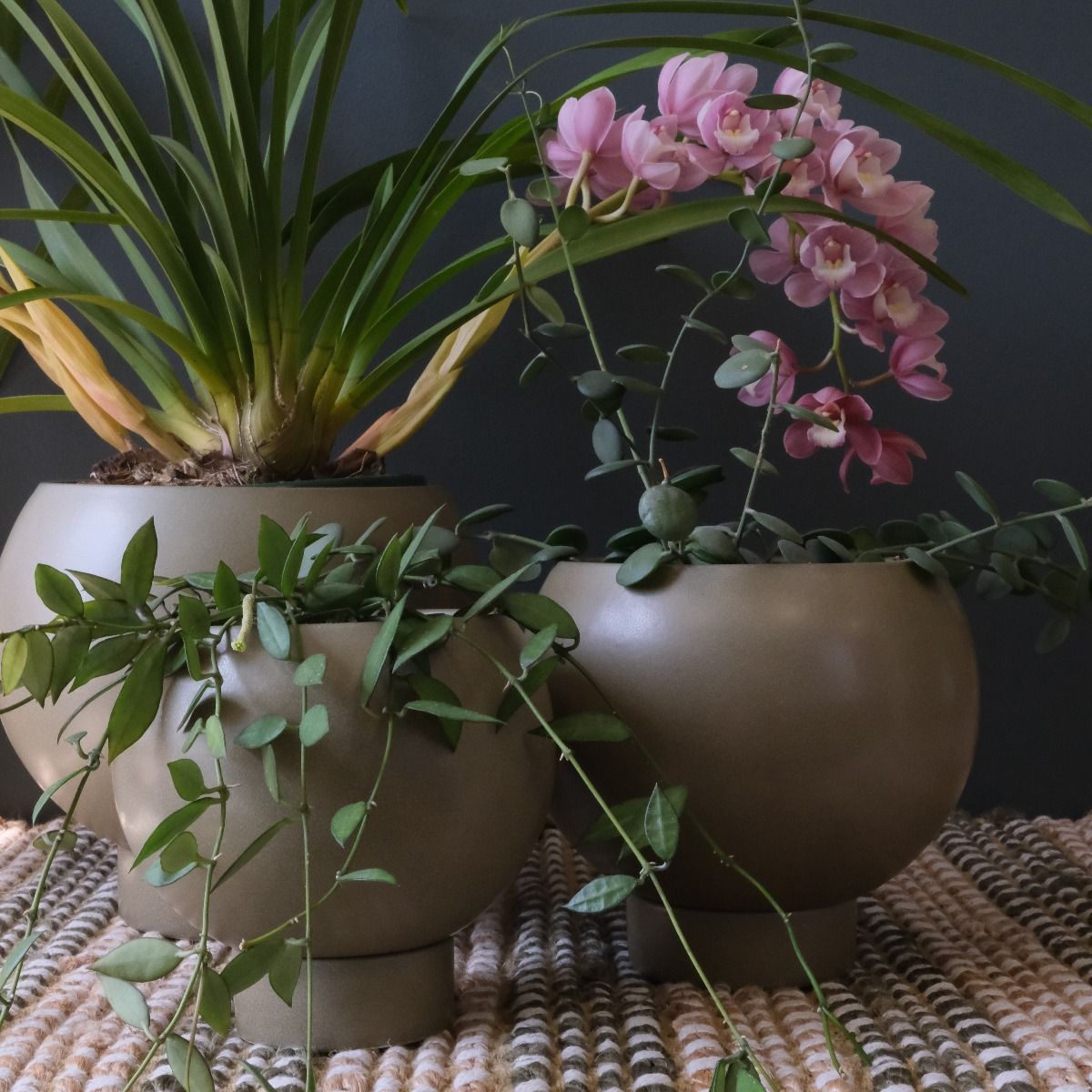 Potted Orbit Planters in Jade