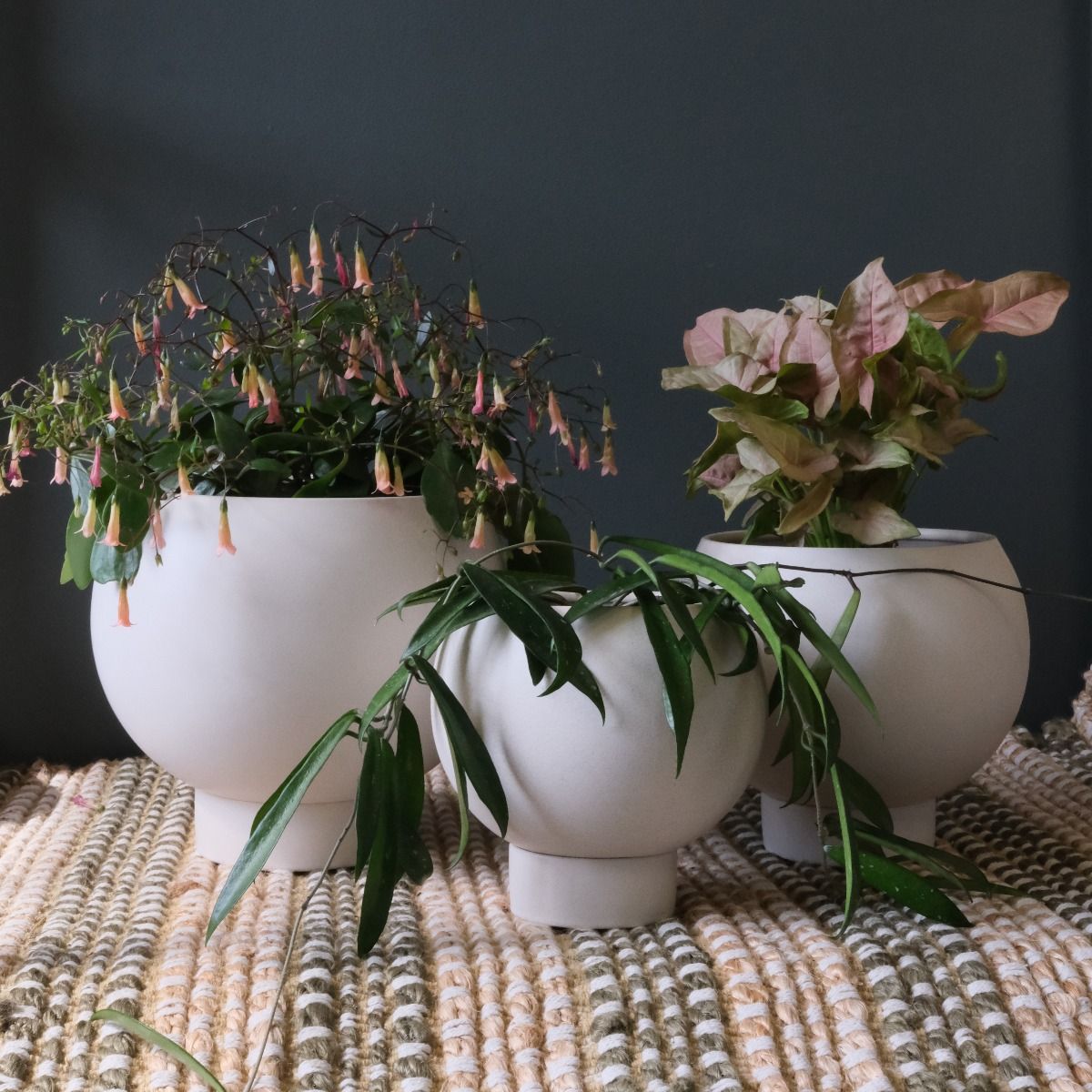 Potted Orbit Planters in Oatmeal