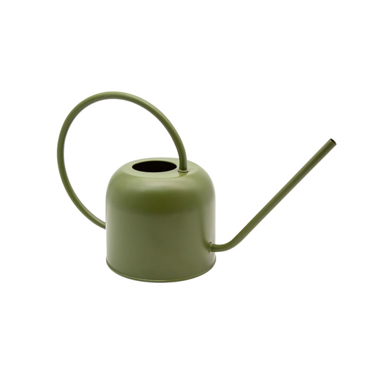 Potted 'Como' 1.7L Indoor Watering Can, Avocado