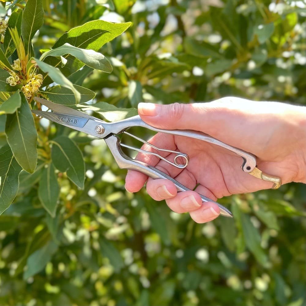 Sophie Conran Precision Garden Secateurs