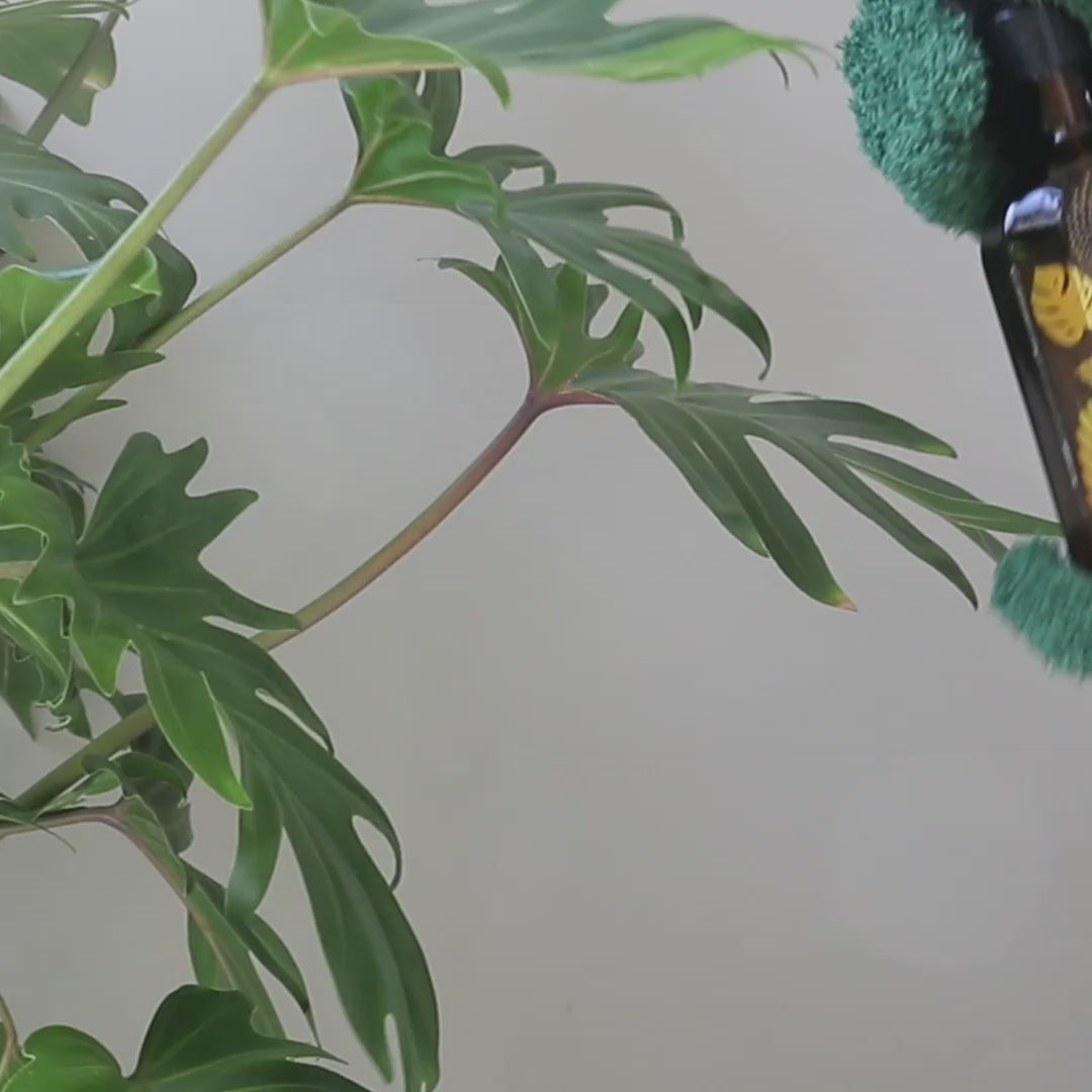 Botanopia Leaf Love Gloves Demonstration Video