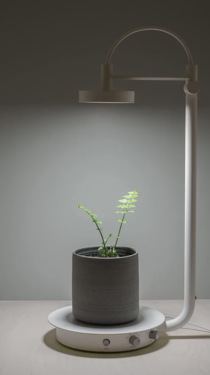 PL01 Grow Lamp, White