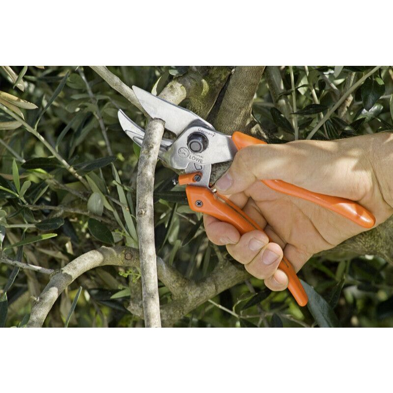 Ideal for cutting hardwood branches.