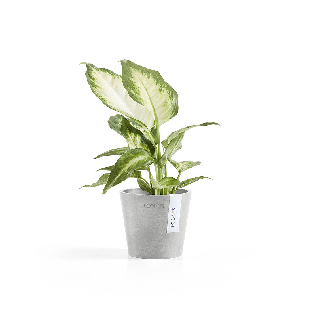 Ecopots is an exciting brand in flower pots, plant pots and planters for both indoor and outdoor use. It combines design with innovation and usability with sustainability and is the go-to brand for people who are looking for timeless design in pots for home, garden or balcony.