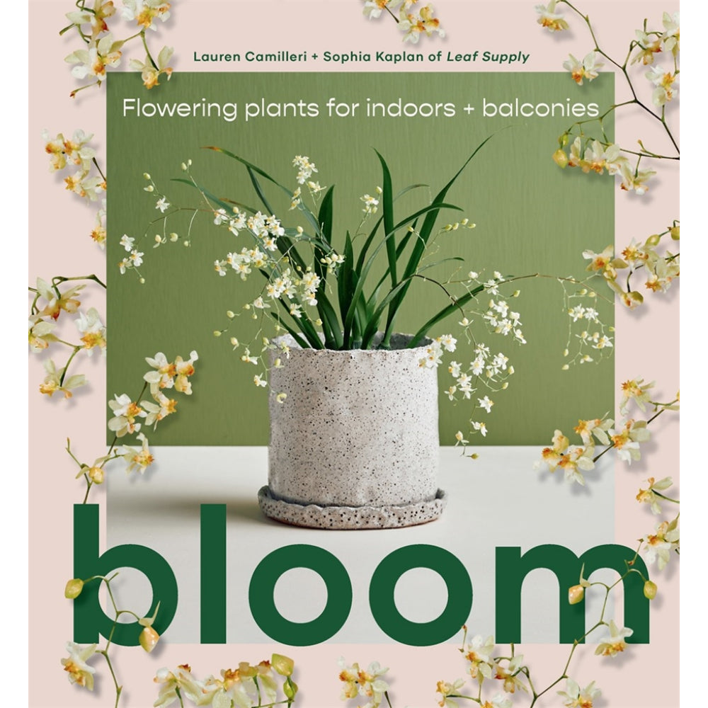 Bllom - Flowering plants for indoors and balconies.