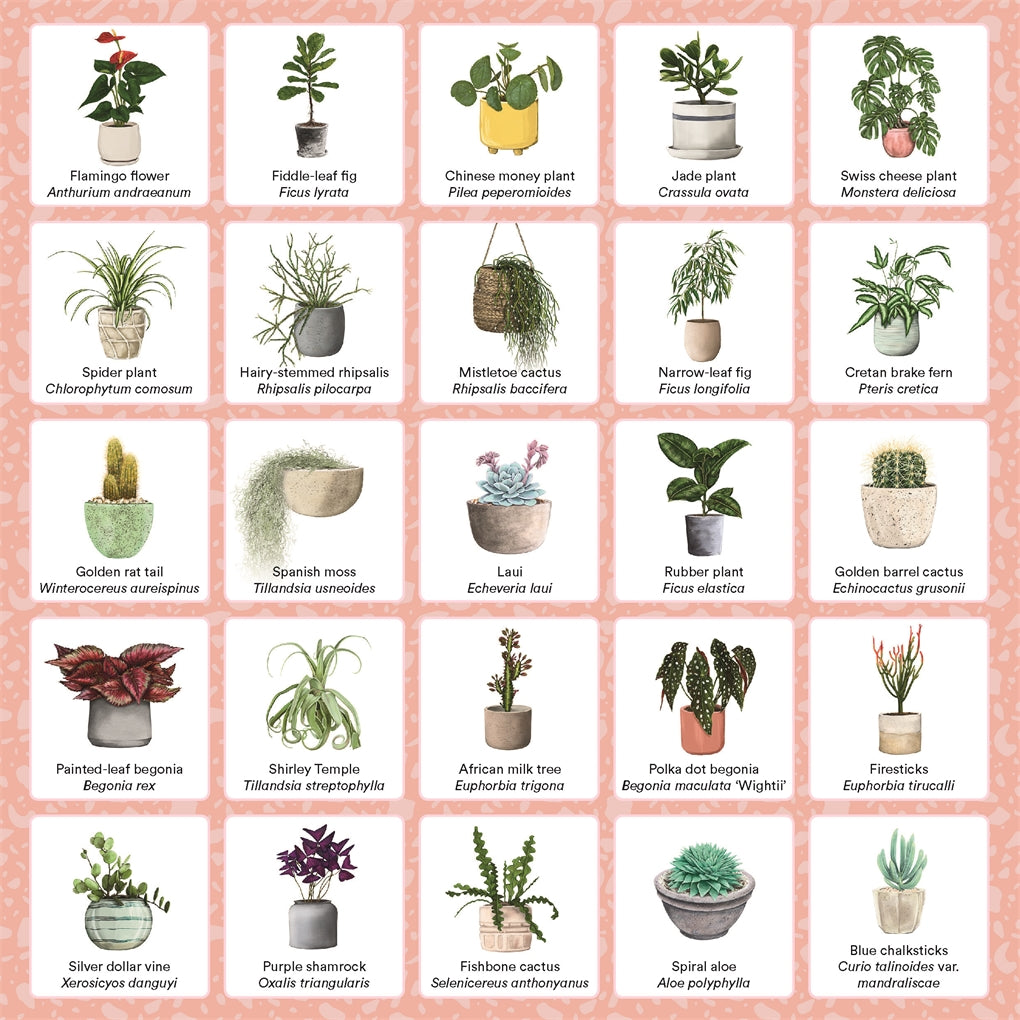 Plant Bingo Card 2