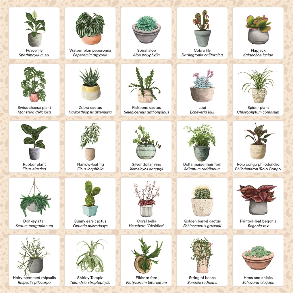 Plant Bingo Card 4