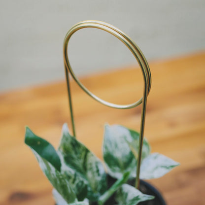 'Mini Orb' Brass Plant Totem