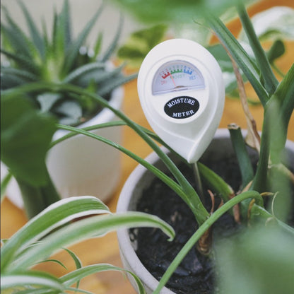 This soil moisture meter helps you grasp when you need to water your plant, or if you are over/under watering. An ideal tool to help your plants grow healthier.