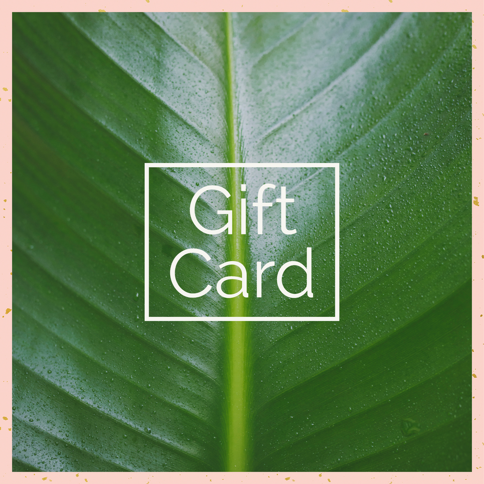 Backyard Botanist Gift Card Plants, Care & Kit