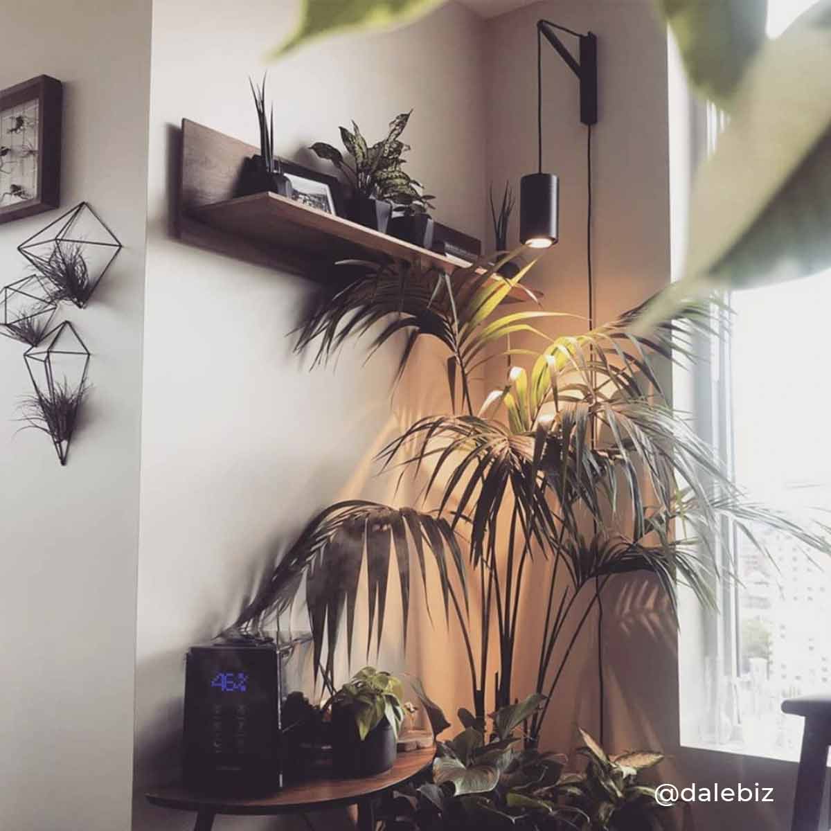 Pinocchio Adjustable Wall Mount for Aspect Grow Lights