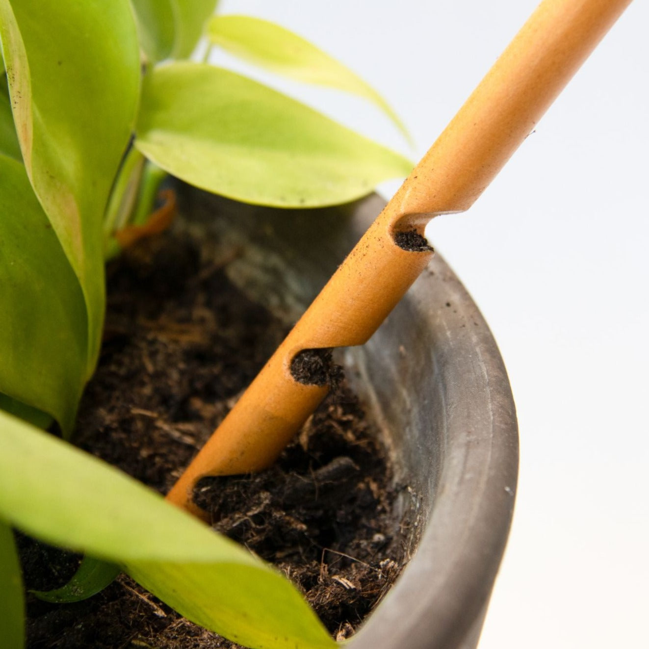 Botanopia Soil Moisture Probe