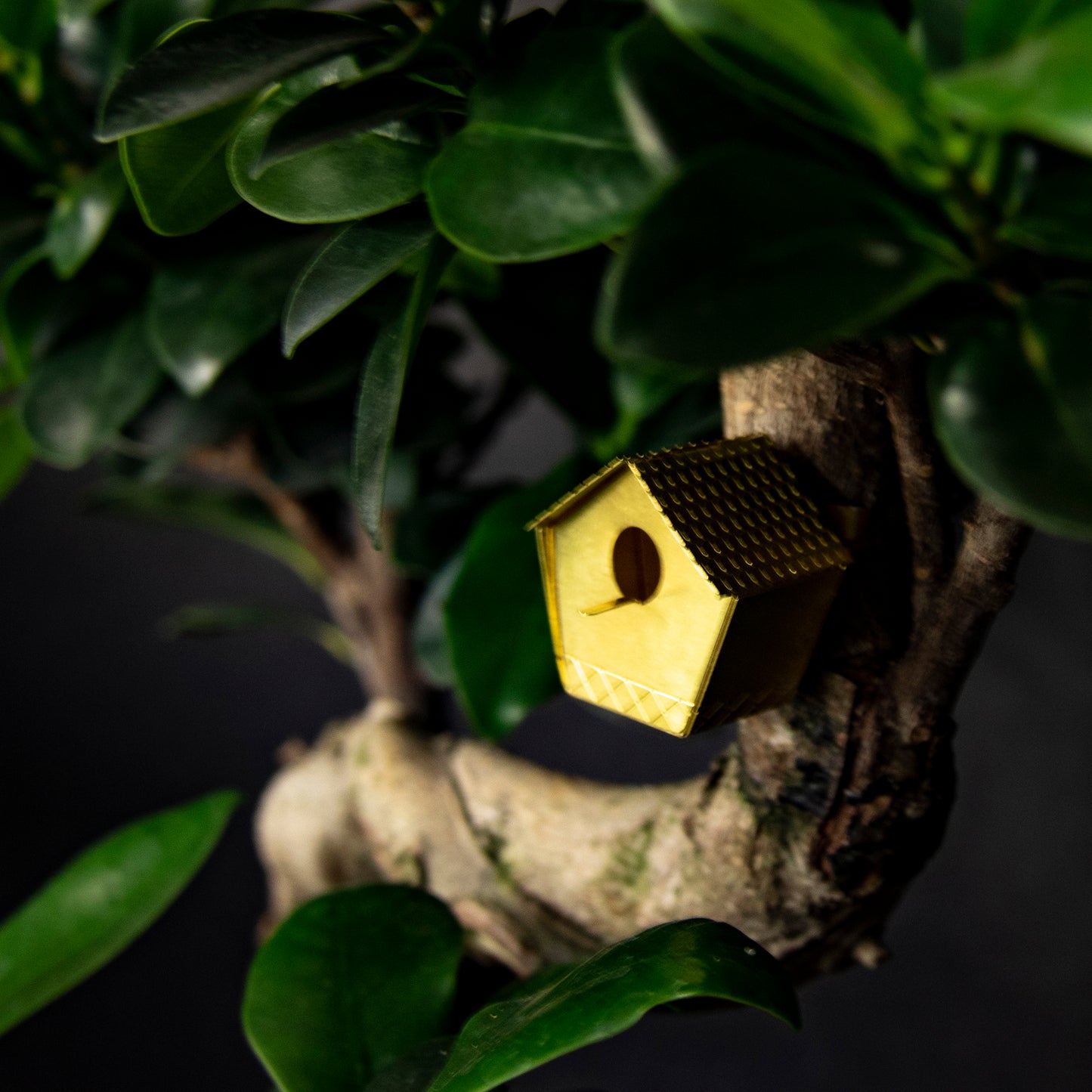 Botanopia Tiny Birdhouse for Plants