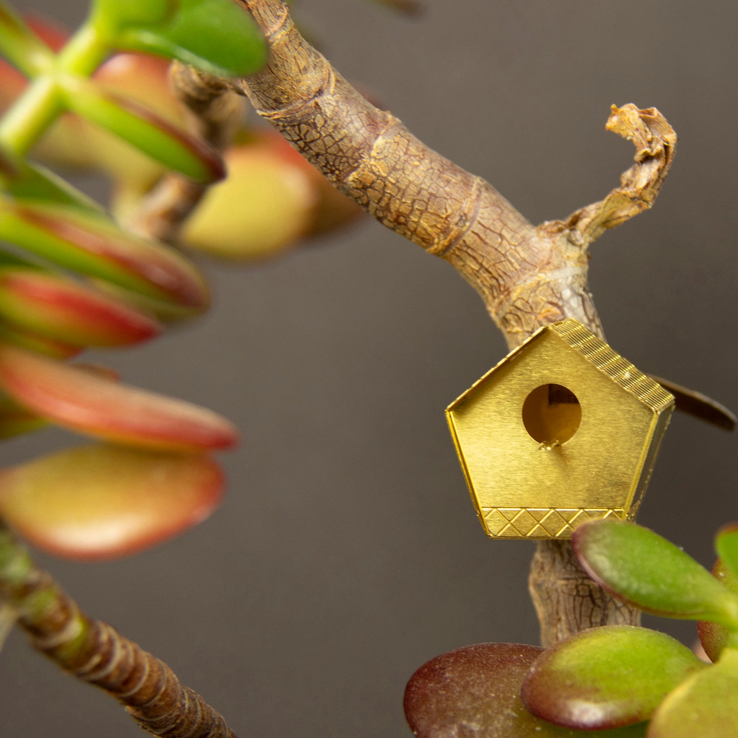 Botanopia Tiny Birdhouse