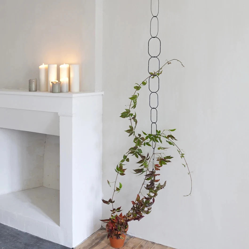 Botanopia Black Brass Climbing Plant Support
