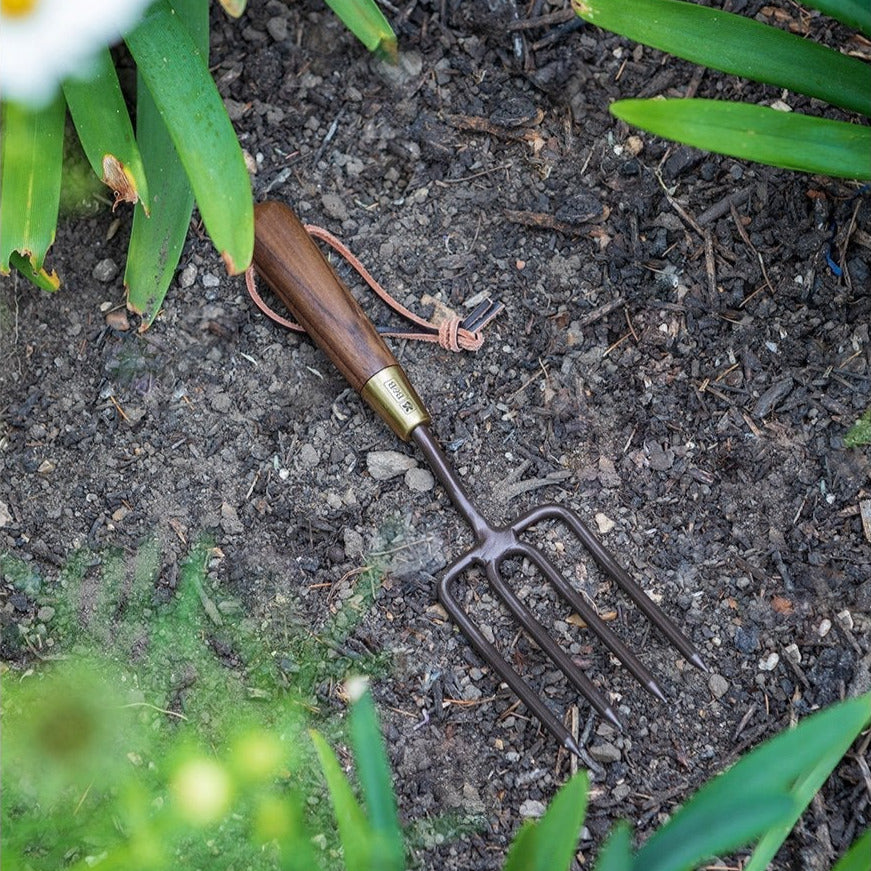 National Trust Round Tined Fork