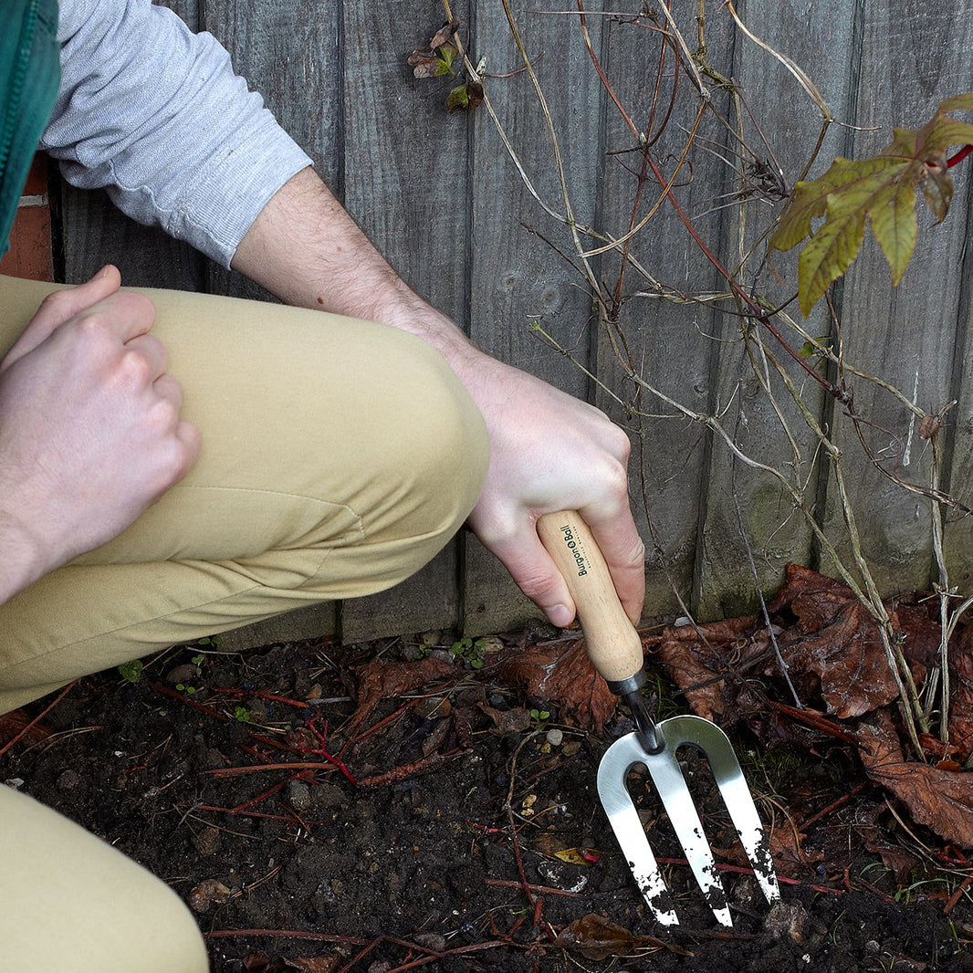 RHS Endorsed Garden Tools – Backyard Botanist