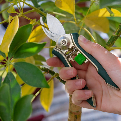This Burgon & Ball houseplant pruner is ideal for removing spent leaves and stems, or for the pruning of live stems to re-shape or to encourage bushier, denser growth.