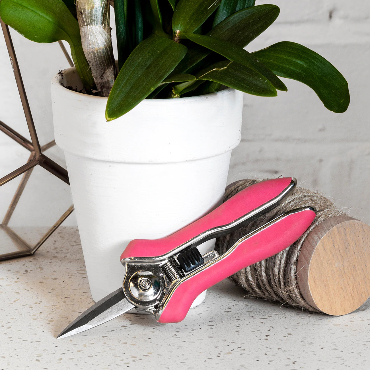 If you’re just a little bit in love with your orchids, these snips are perfect for you, but of course they are also ideal for pruning other flowering houseplants and for floristry.