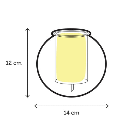 Cup O Flora Medium Self-Watering Glass Pot Measurements