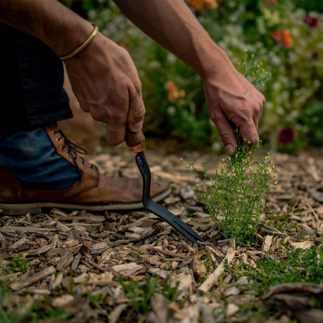 Weeding with Barebones Tools