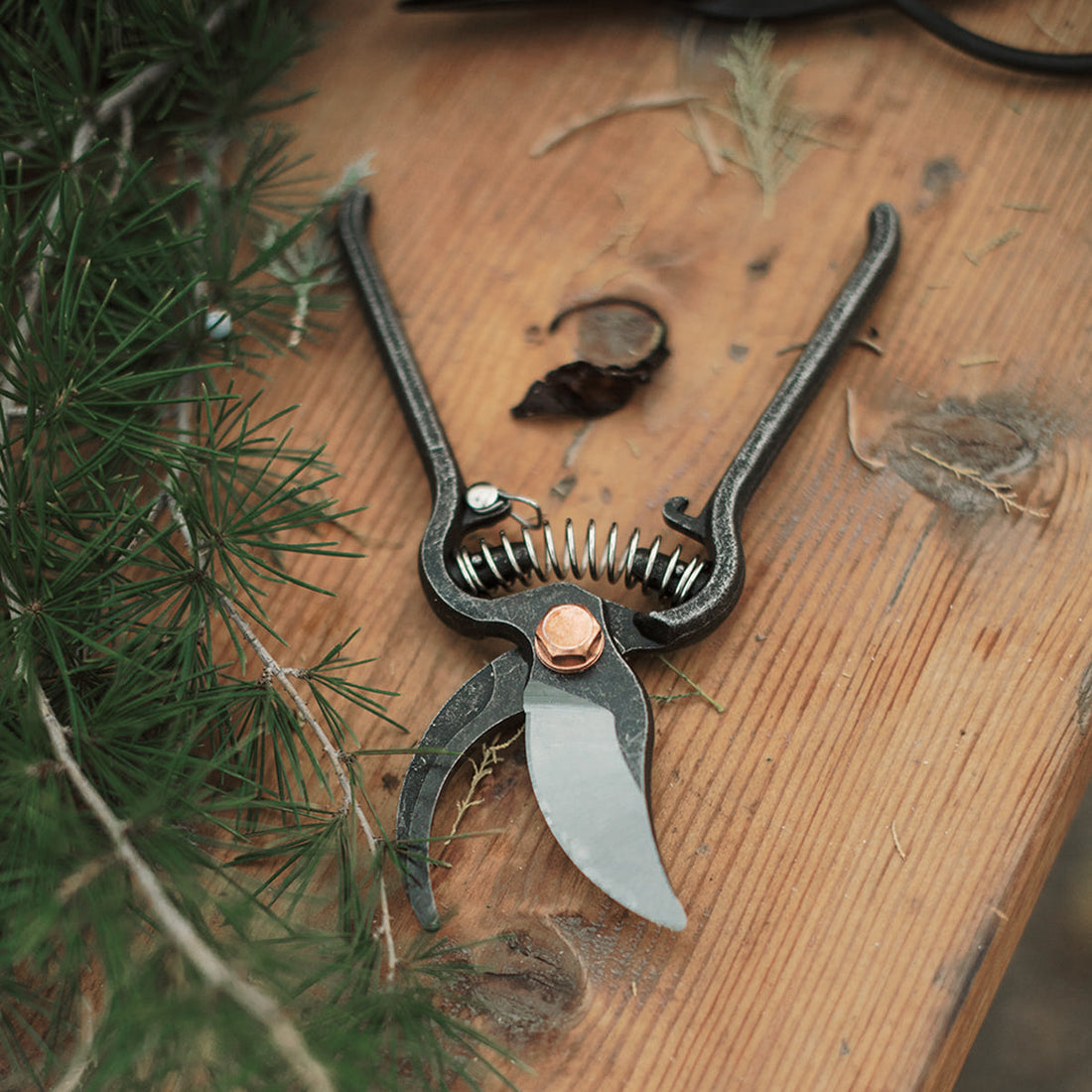 Barebones Pruner on Bench