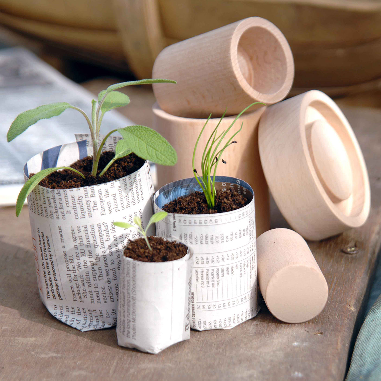 cardboard planting pots Burgon & Ball Eco Paper Pot Maker