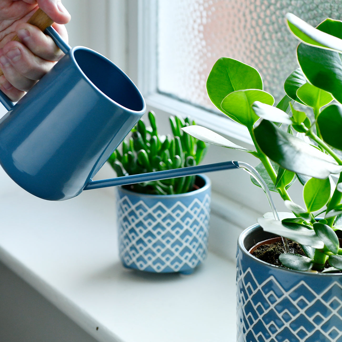 Houseplants add so much to a home’s style, so to care for them, why use a watering can which is anything less than gorgeous?