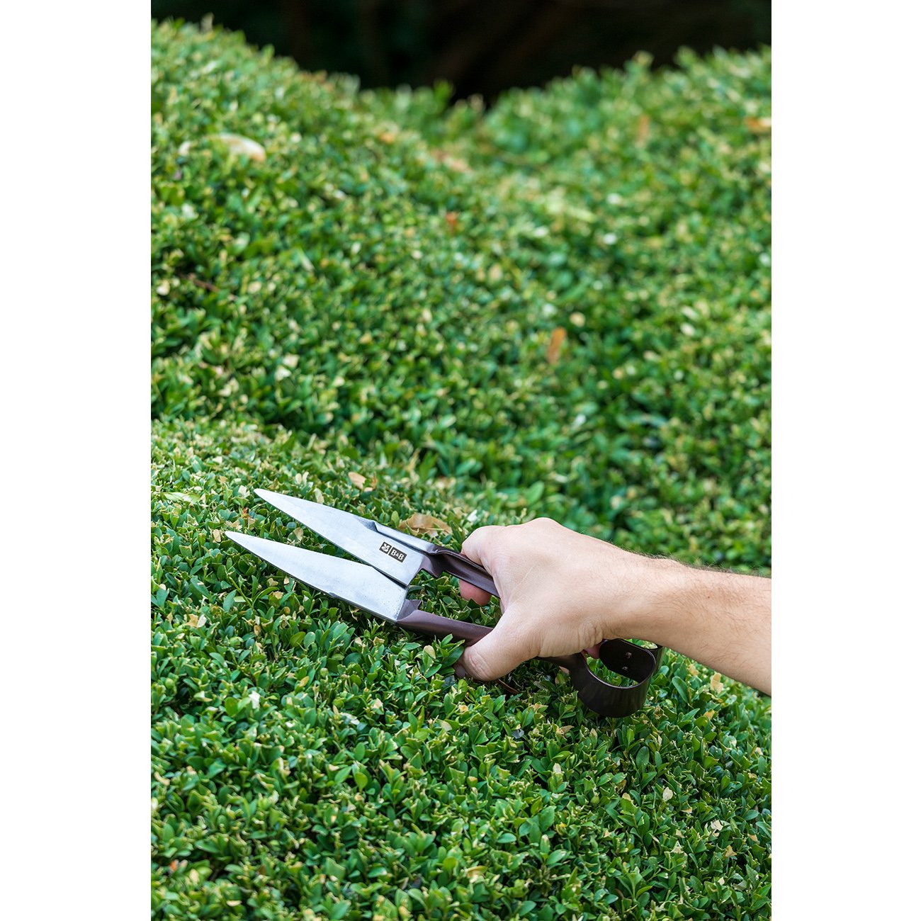 Burgon & Ball Topiary Shear