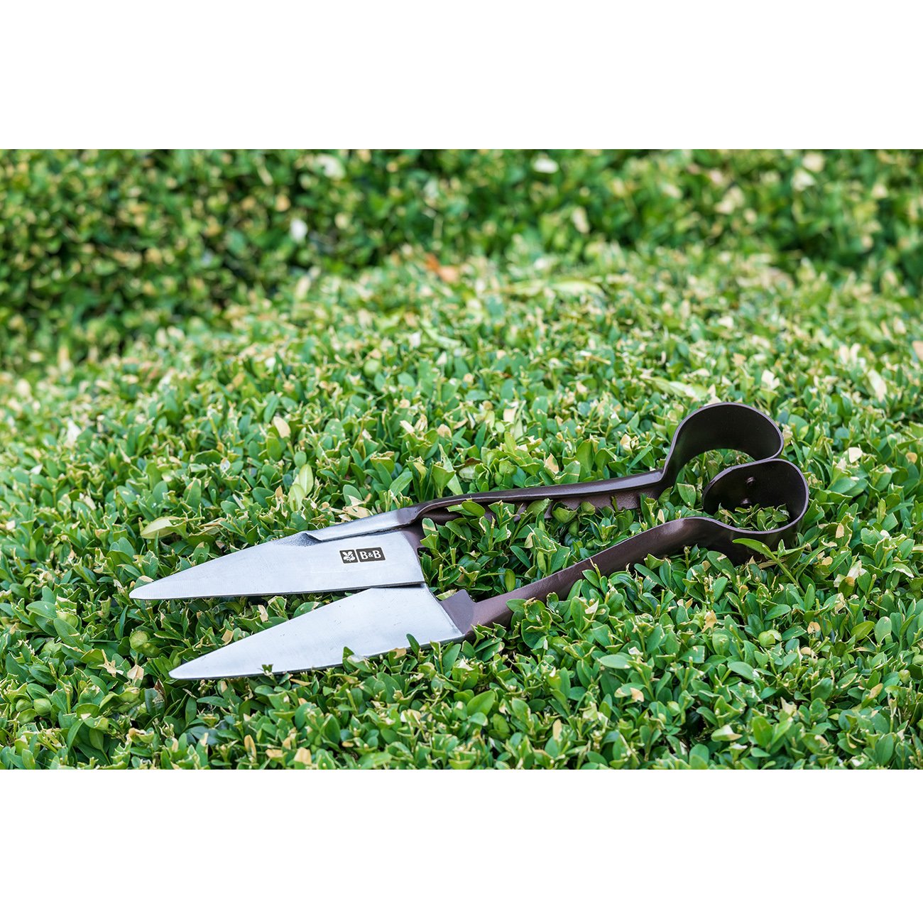 Burgon and clearance ball hedge shears