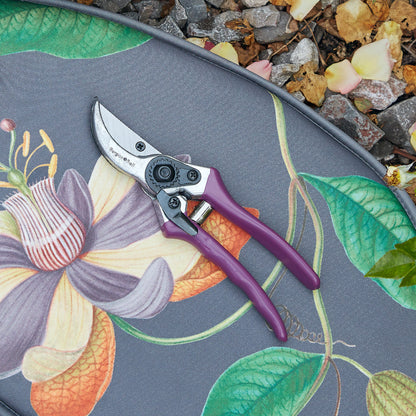 Passiflora Secateurs