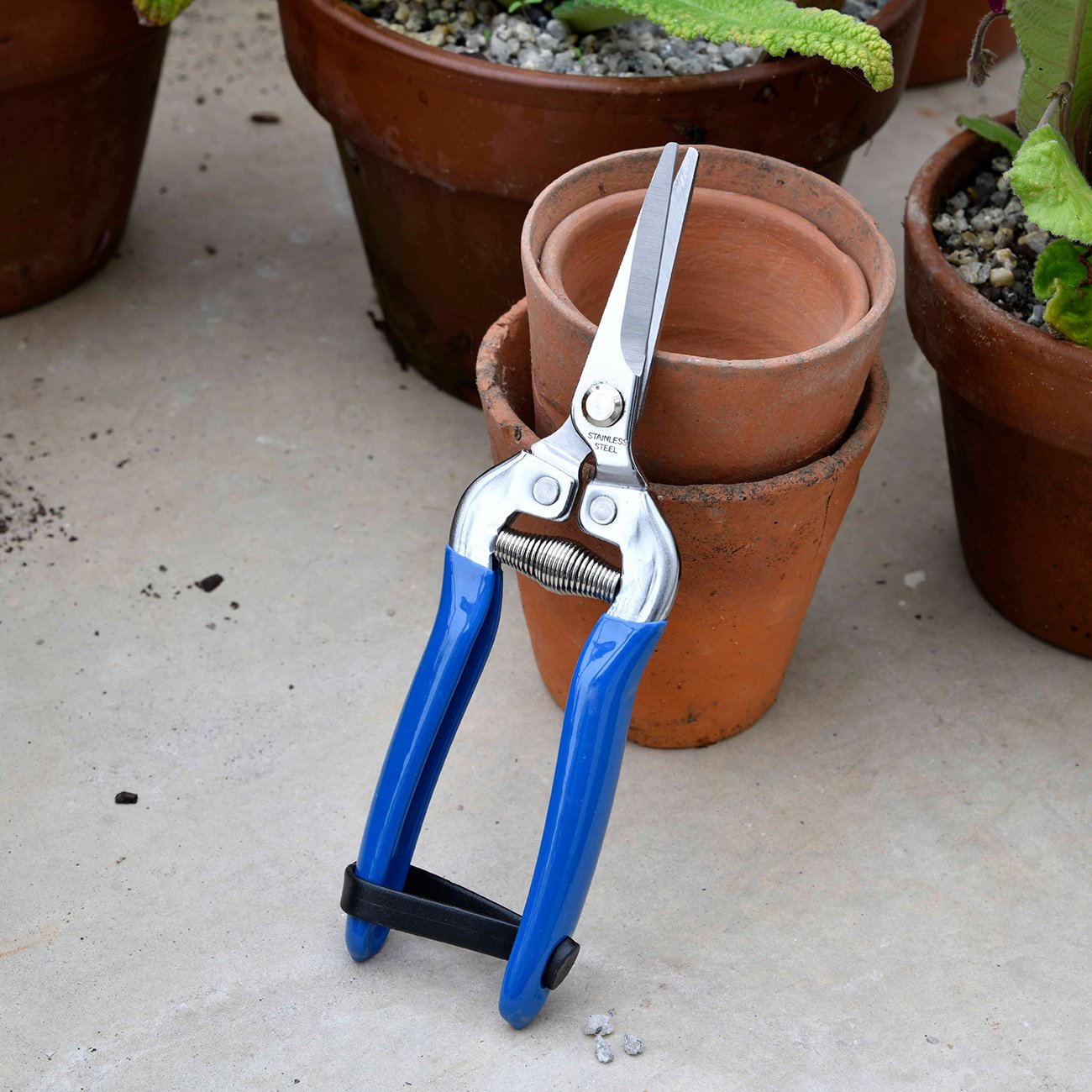 A practical and useful gift for any gardener, this pair of snips is endorsed by the Royal Horticultural Society, perhaps the ultimate recognition in gardening.