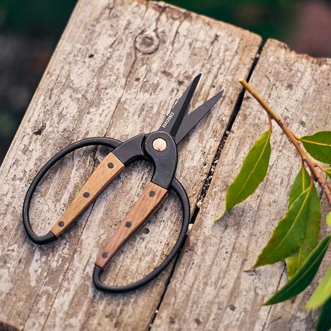 Barebones Small Garden Scissors, Walnut