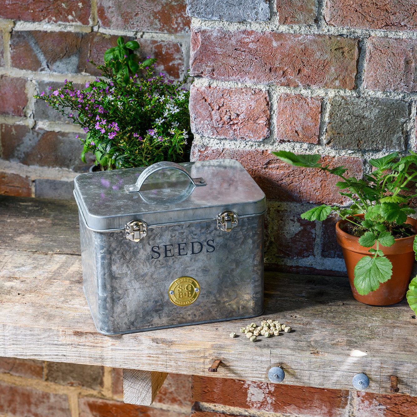 Sophie Conran Galvanized Seed Organiser on Garden Shelf