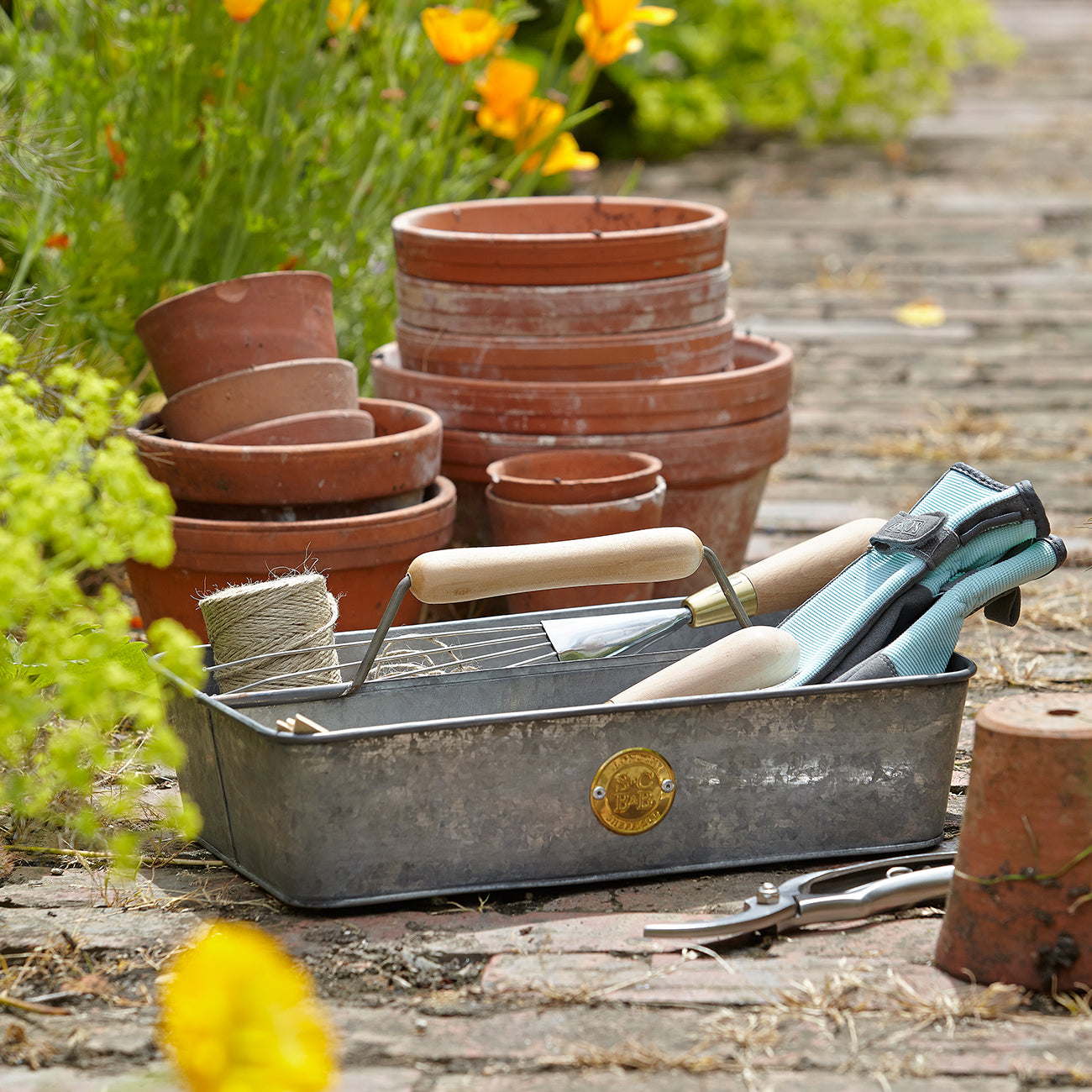 A stylish and practical garden trug in galvanised steel, ideal for holding tools, labels, twine and other gardener's bits and bobs as you garden.