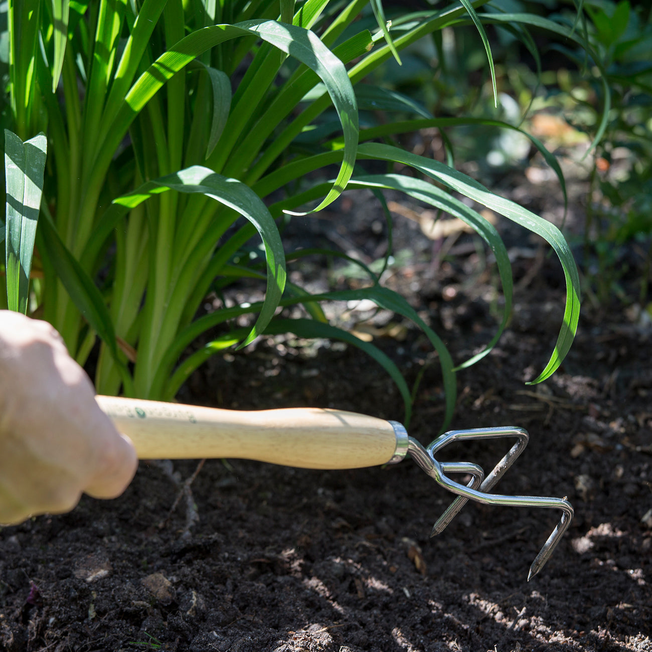 This beautiful stainless steel mid handled claw cultivator offers extra reach, making it easy to garden at the back of borders.
