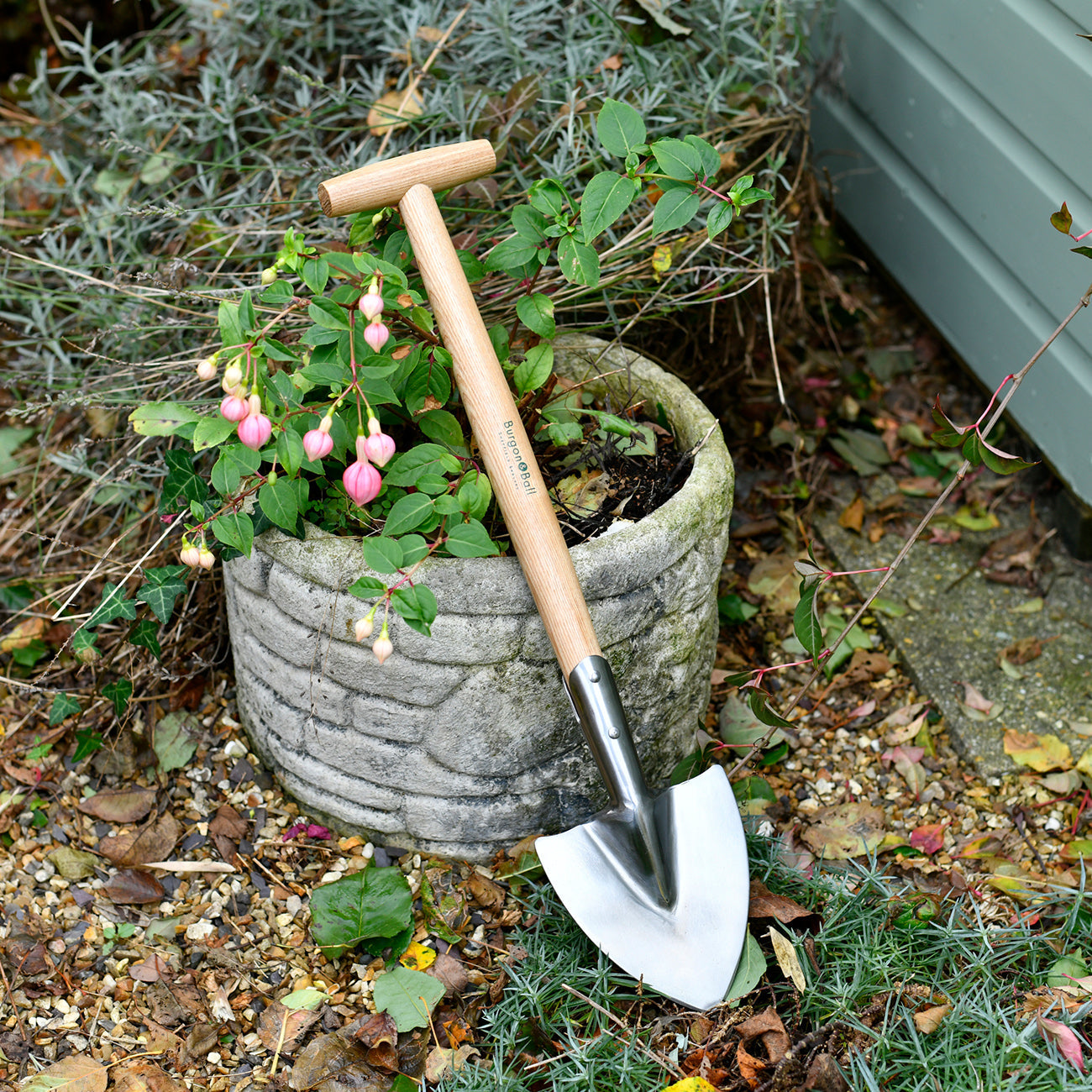 RHS Endorsed Perennial Spade