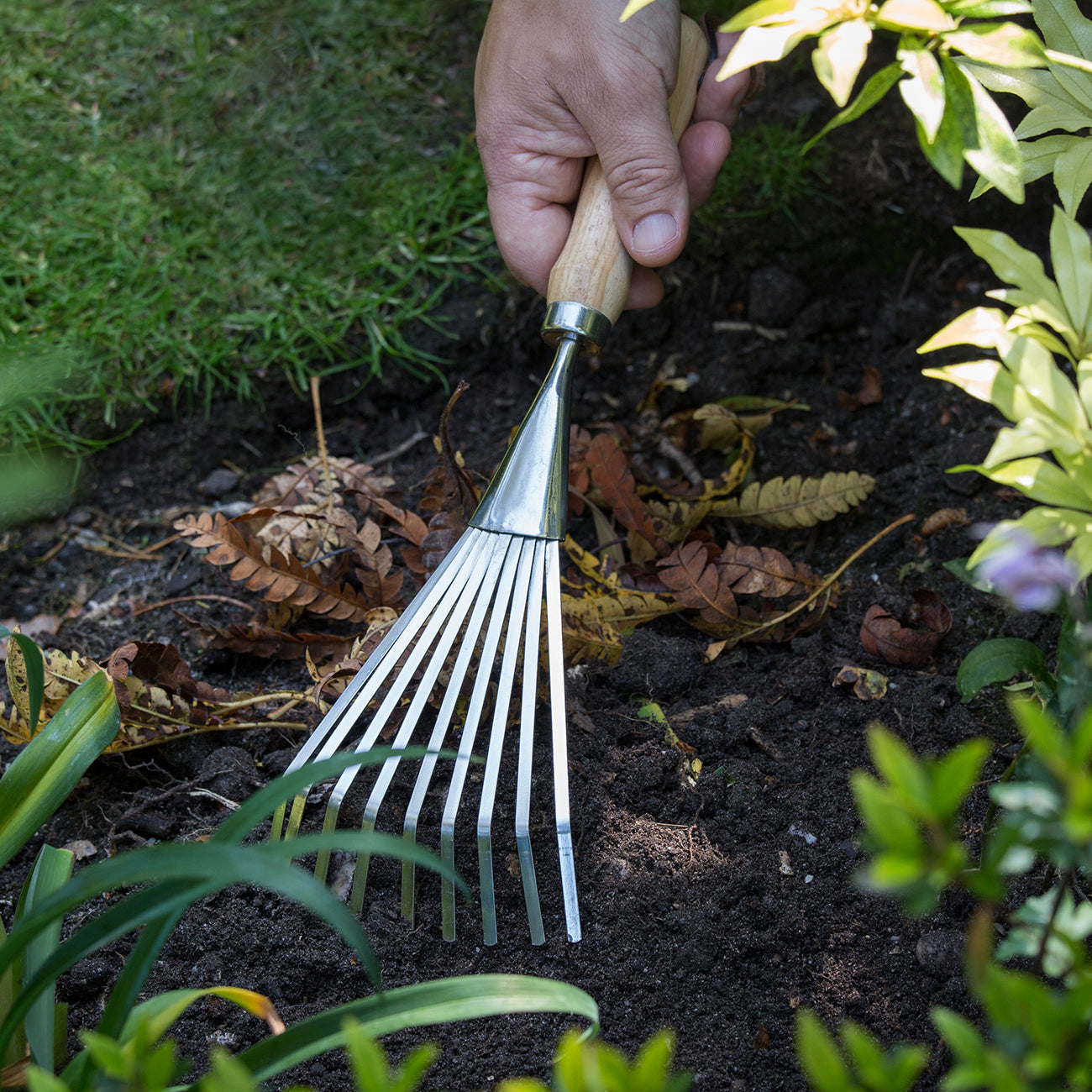 Burgon & Ball RHS Endorsed Shrub Rake – Backyard Botanist